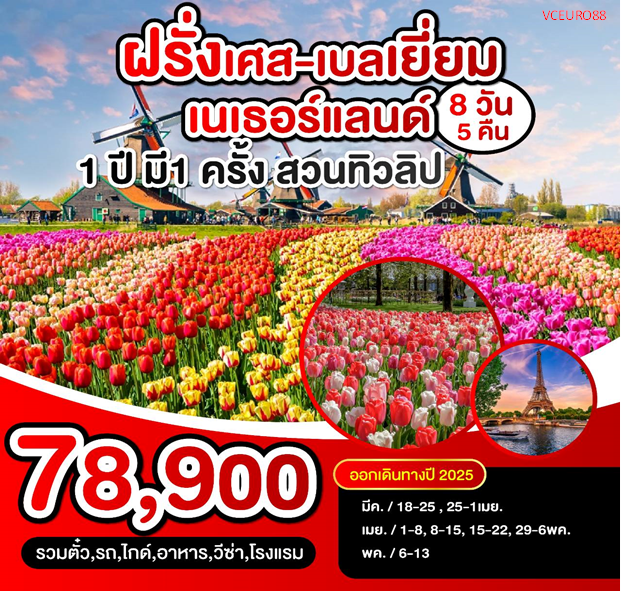 vceuro88 ทิวลิป ฝรั่งเศส เบลเยี่ยม เนเธอแลนด์ 8D5N